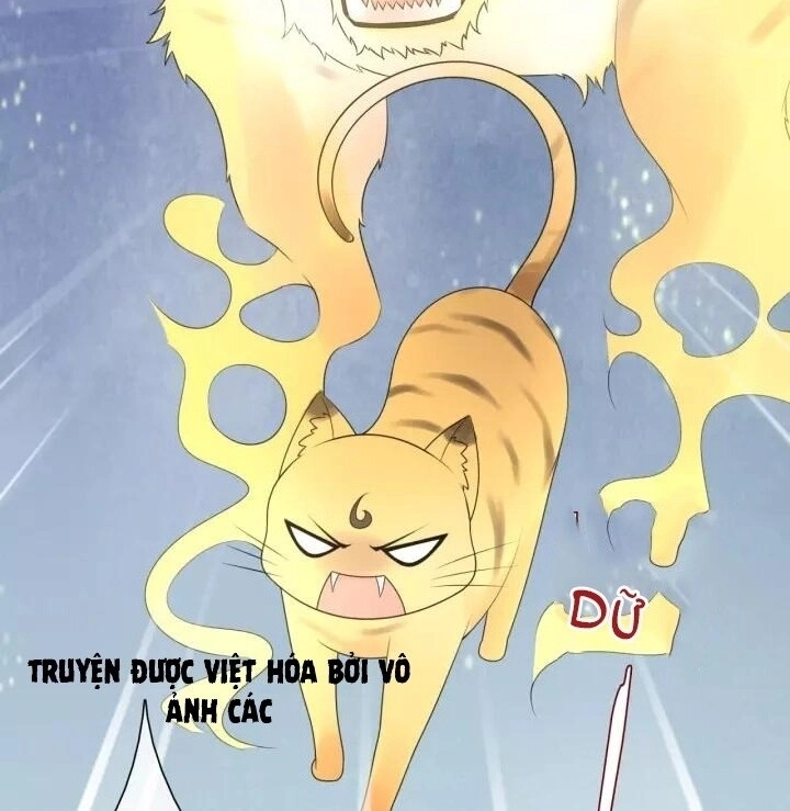 Ma Vương Đại Nhân, Phu Nhân Lại Bỏ Đi Rồi! Chapter 45 - 5