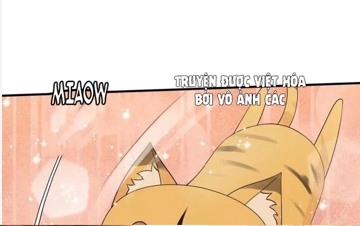 Ma Vương Đại Nhân, Phu Nhân Lại Bỏ Đi Rồi! Chapter 45 - 27