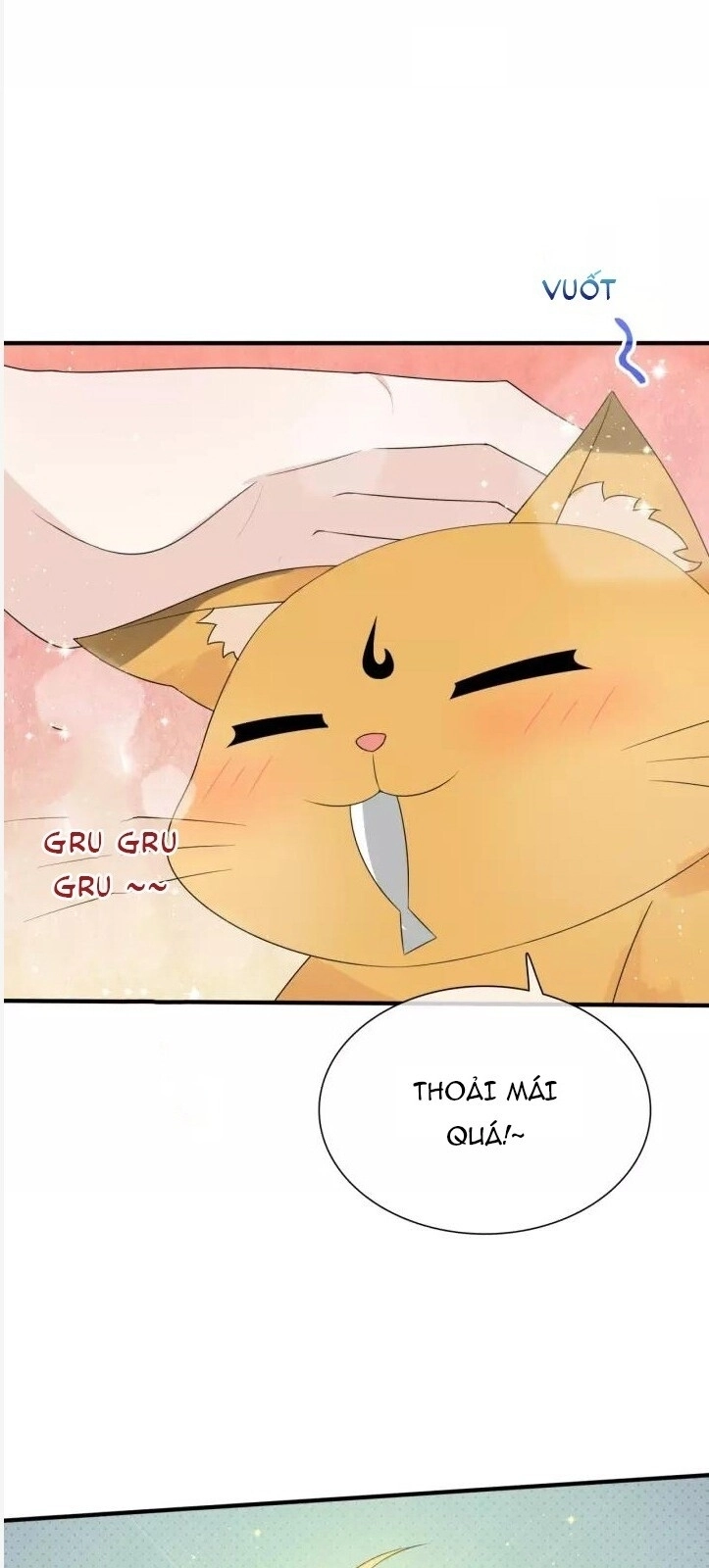 Ma Vương Đại Nhân, Phu Nhân Lại Bỏ Đi Rồi! Chapter 45 - 29