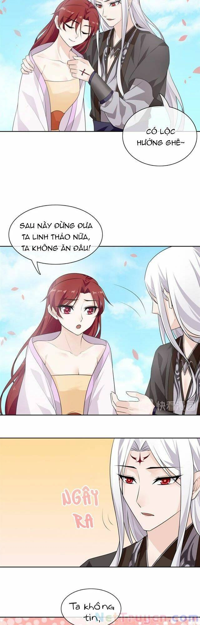 Ma Vương Đại Nhân, Phu Nhân Lại Bỏ Đi Rồi! Chapter 65 - 4