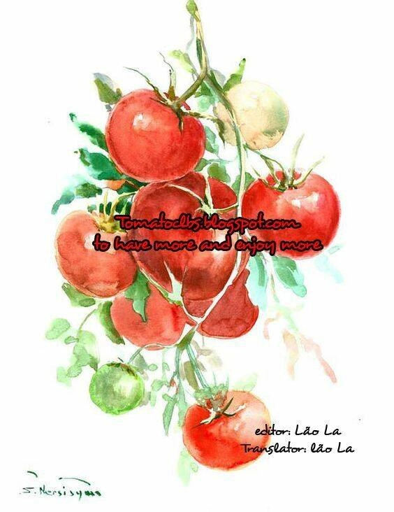 Tetsugaku Letra Chapter 9 - 1