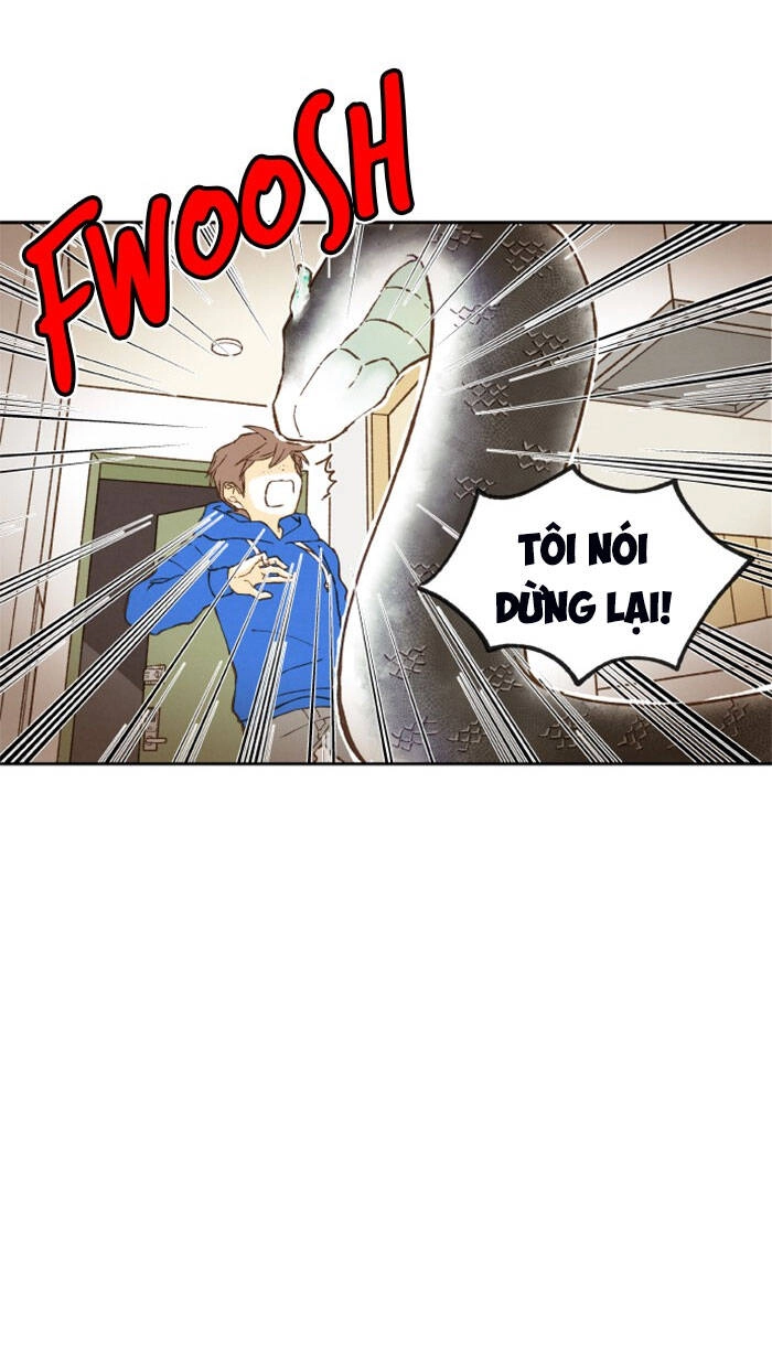 Bí Kíp Hóa Rồng Chapter 4 - 6