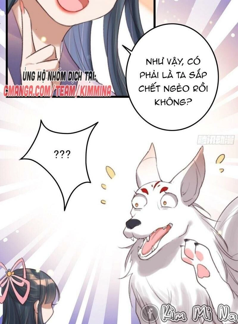 Ngự Thú Cuồng Phi Chapter 5 - 5