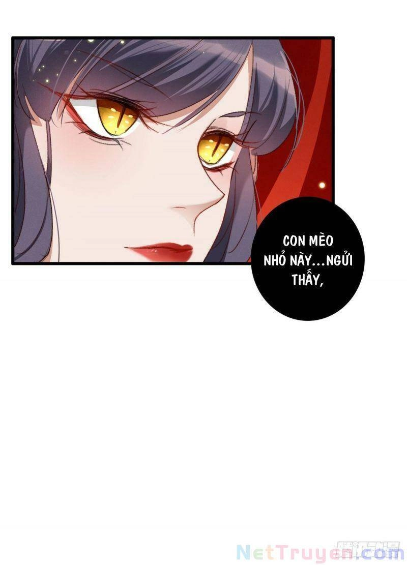 Ngự Thú Cuồng Phi Chapter 19 - 18