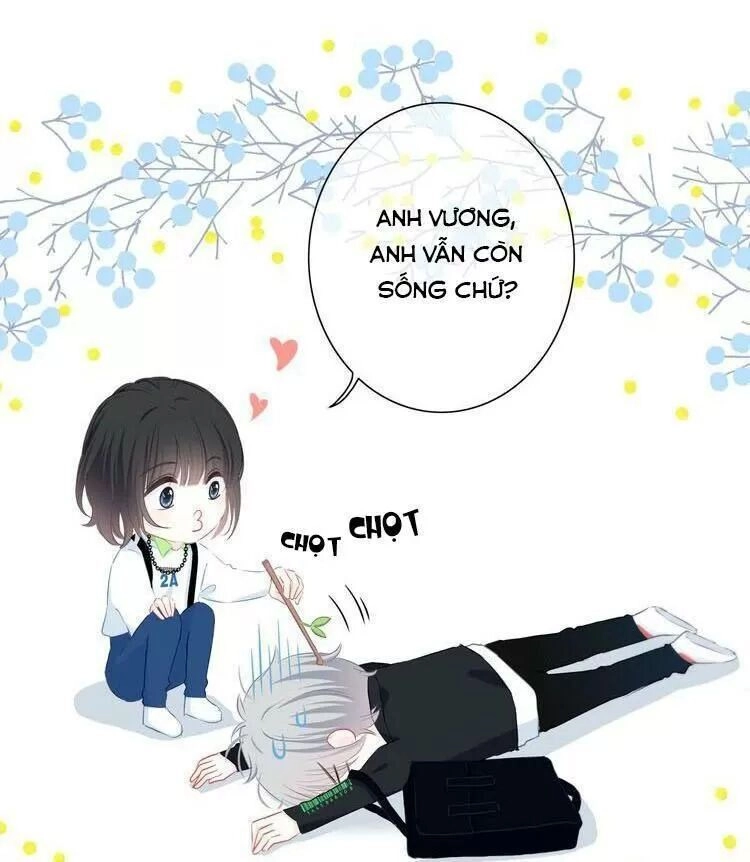 Vấp Phải Nghịch Quang Chapter 24 - 33