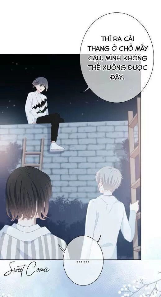 Vấp Phải Nghịch Quang Chapter 31 - 42