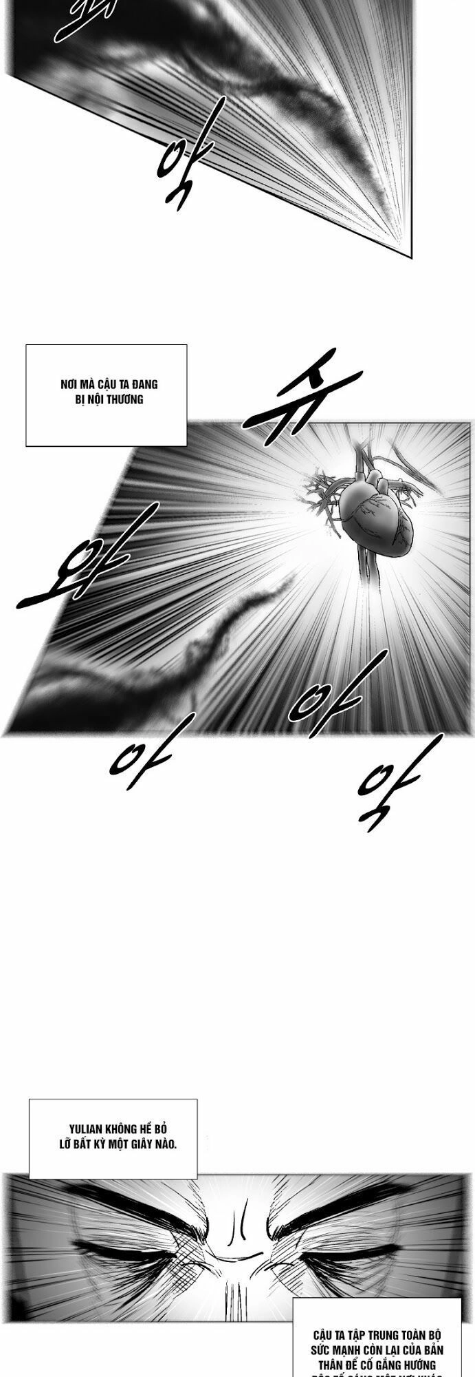 Cơn Bão Đỏ Chapter 223 - 5