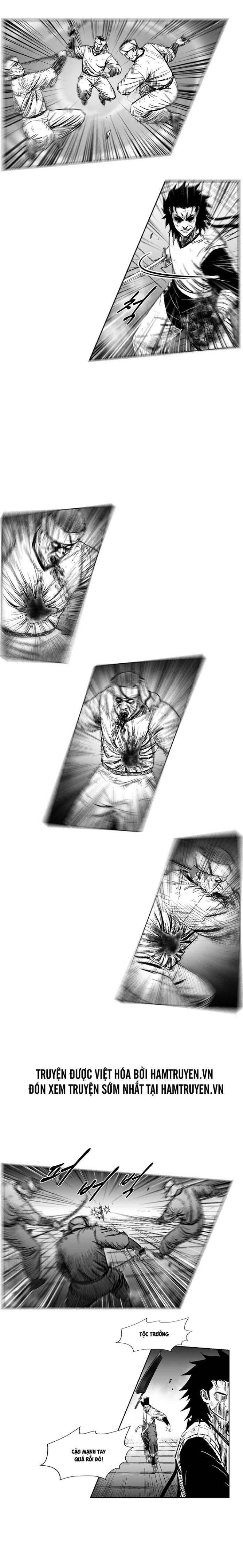 Cơn Bão Đỏ Chapter 246 - 12