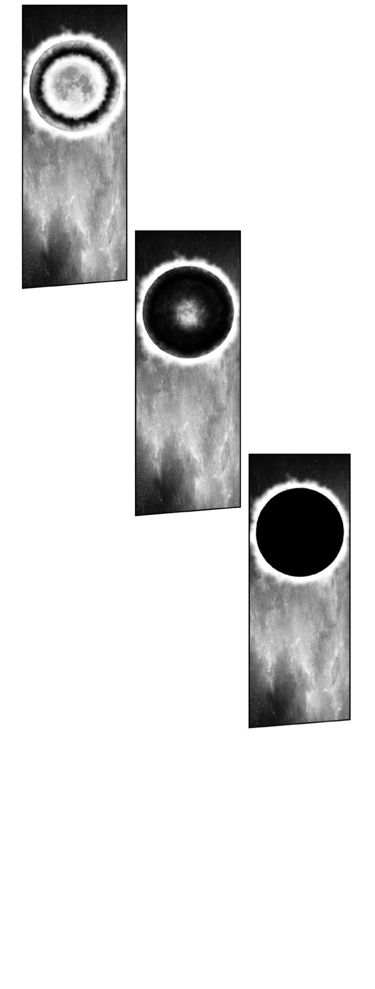 Cơn Bão Đỏ Chapter 262 - 14