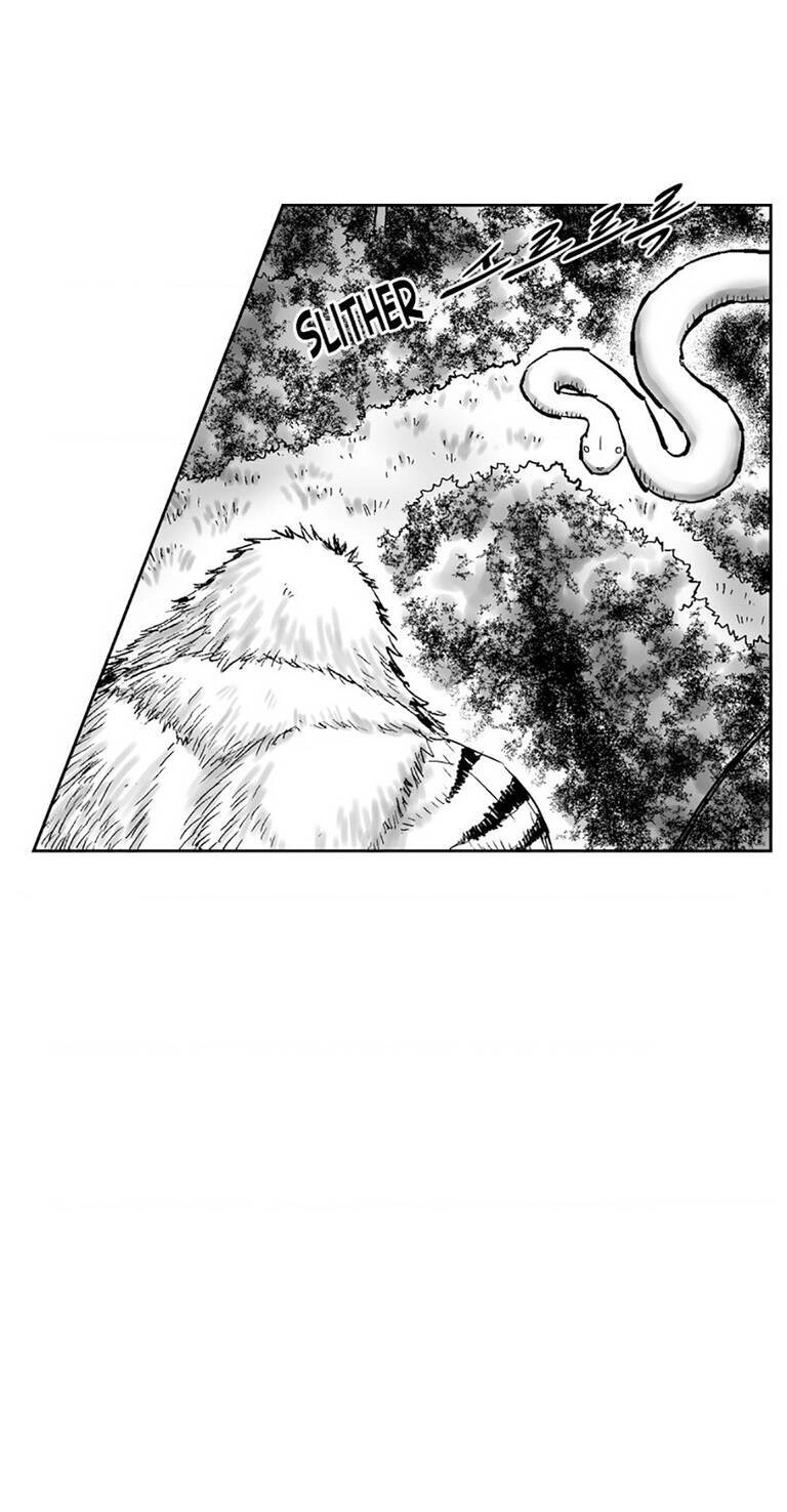 Cơn Bão Đỏ Chapter 290 - 17