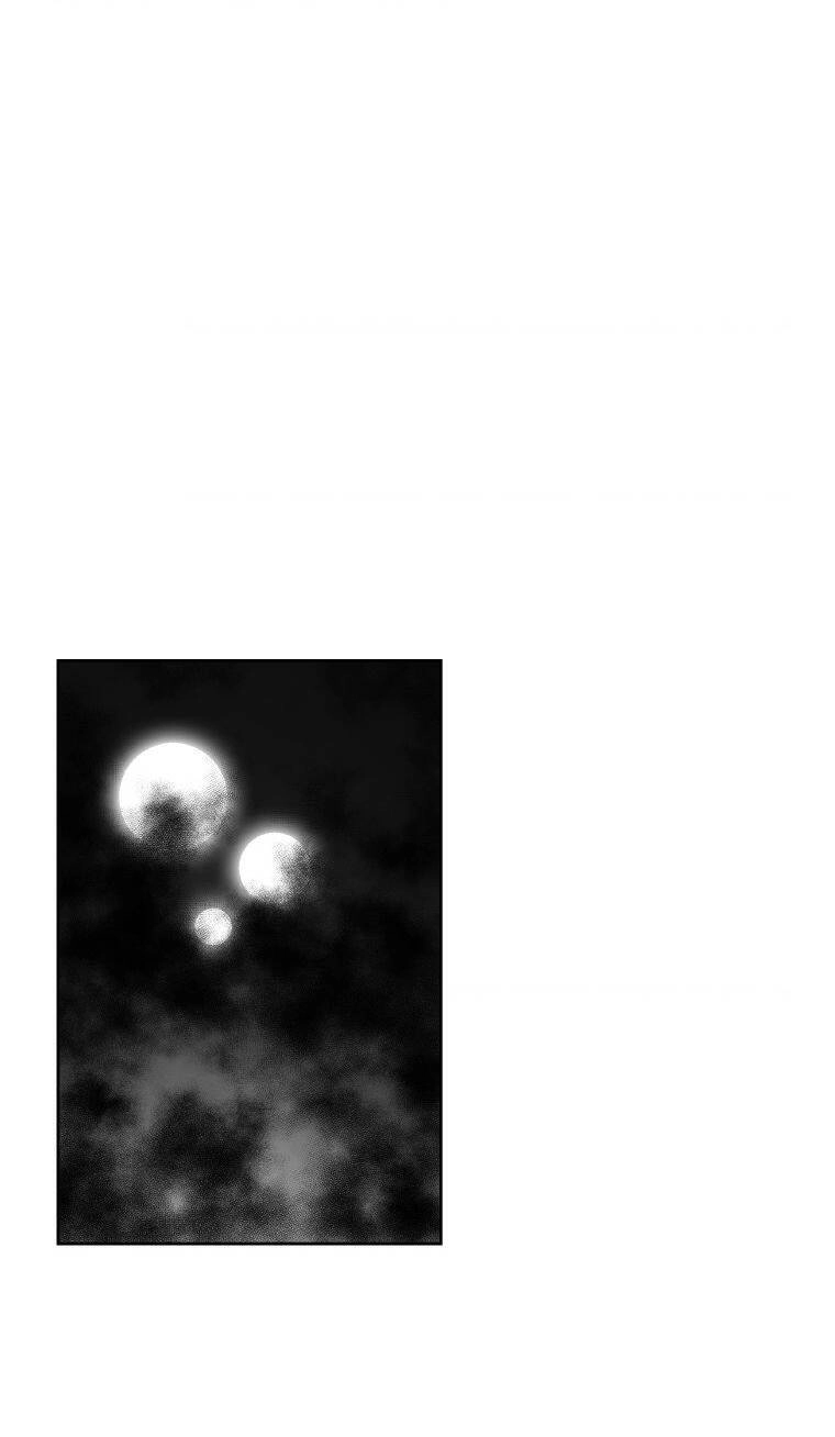 Cơn Bão Đỏ Chapter 296 - 41