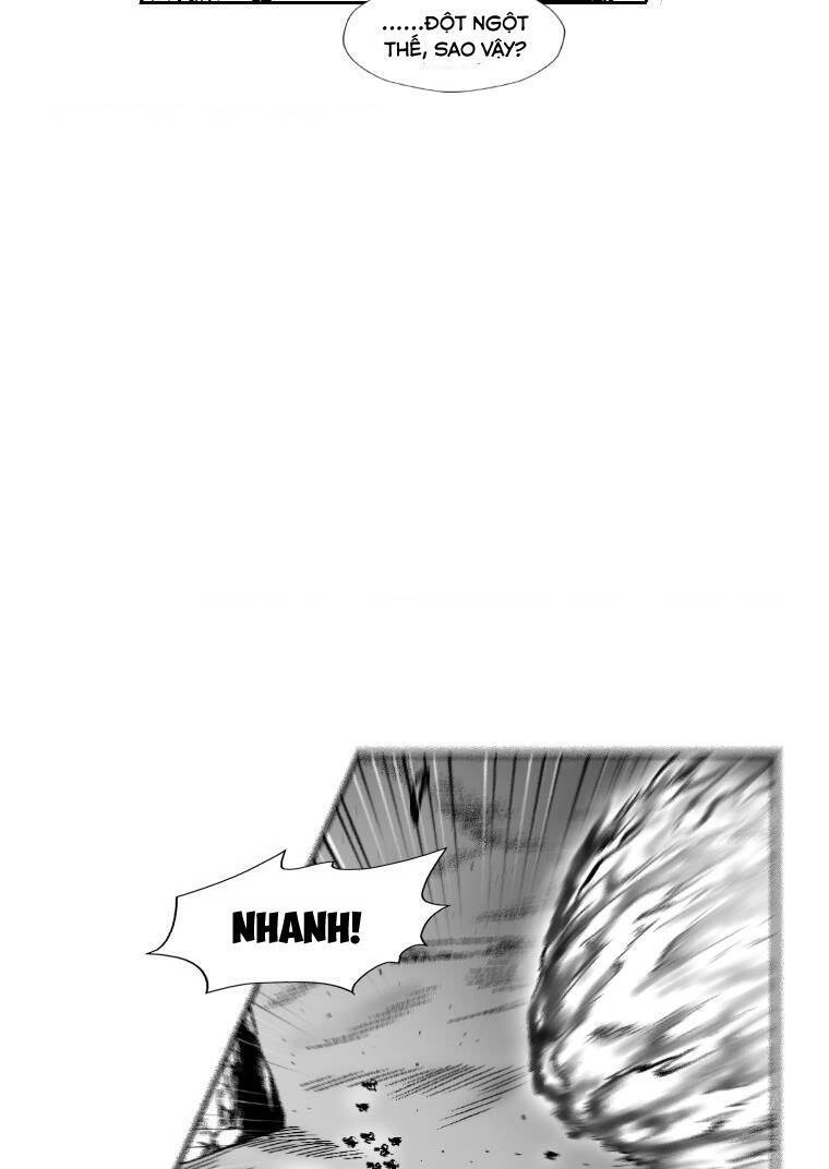 Cơn Bão Đỏ Chapter 312 - 12