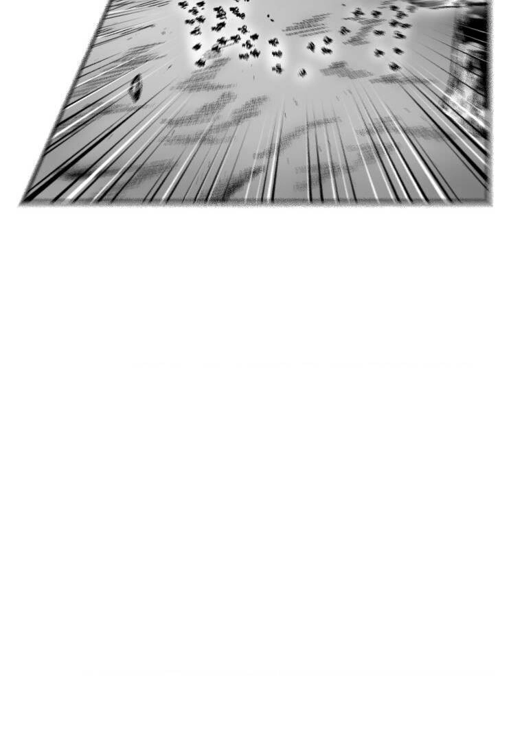 Cơn Bão Đỏ Chapter 312 - 13