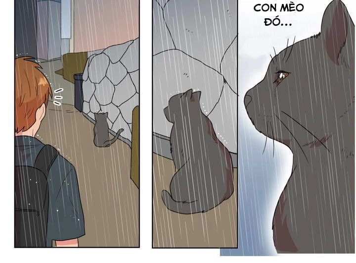 Tỏ Tình Nhầm Lẫn Chapter 5 - 18