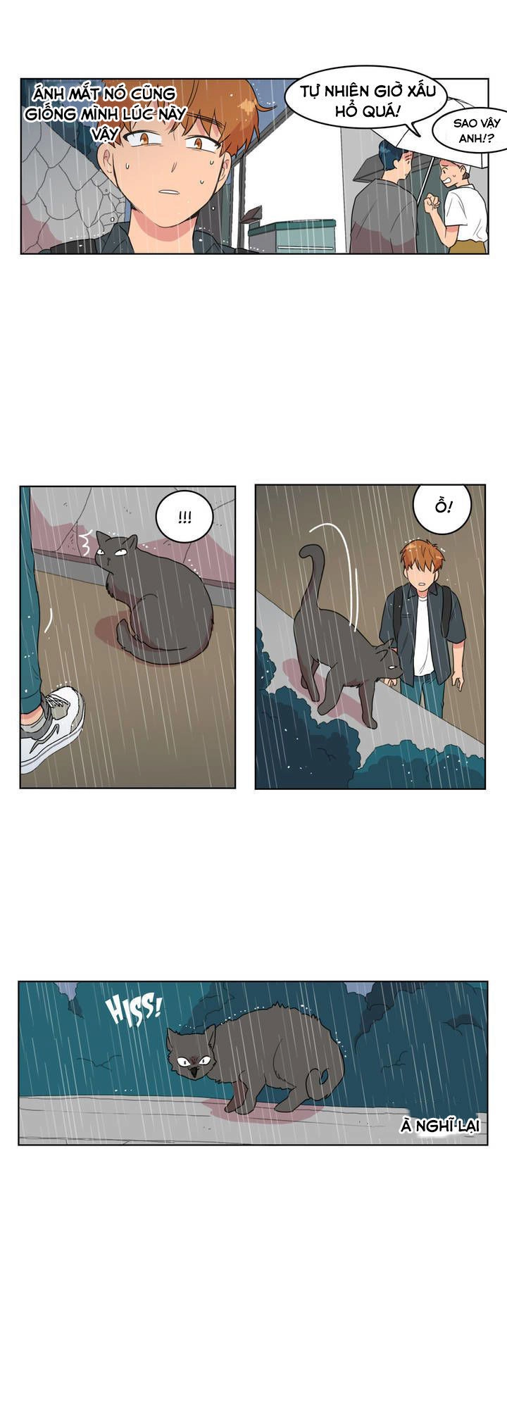 Tỏ Tình Nhầm Lẫn Chapter 5 - 19