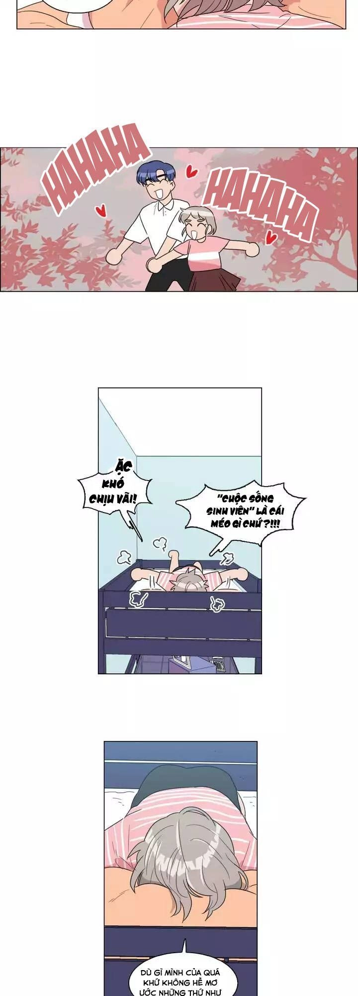 Tỏ Tình Nhầm Lẫn Chapter 45 - 3