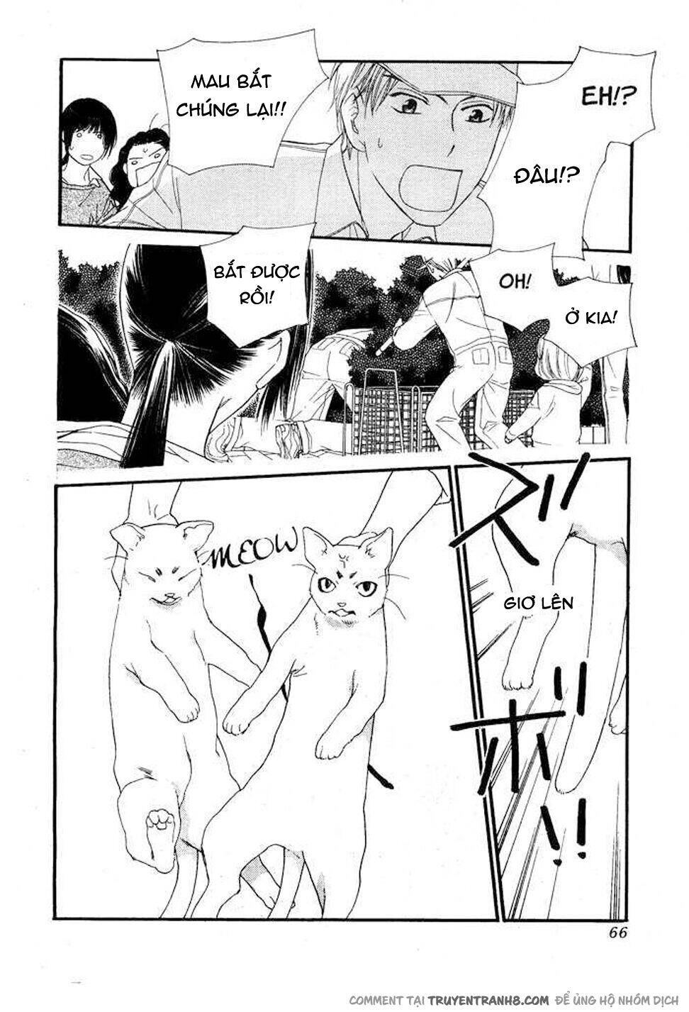 Orange Chocolate Chapter 8 - 11