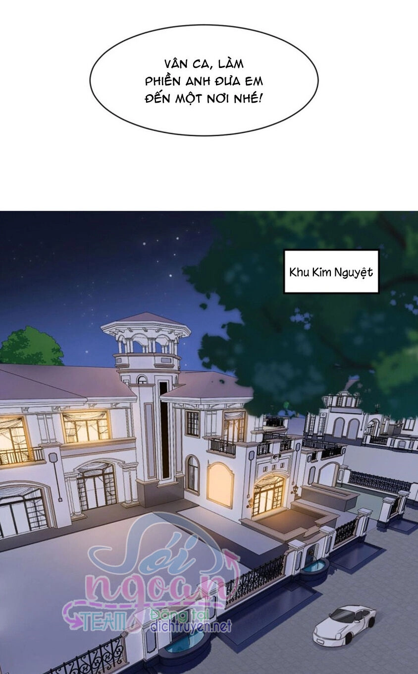 Ẩn Hôn Chí Ái Chapter 49 - 19