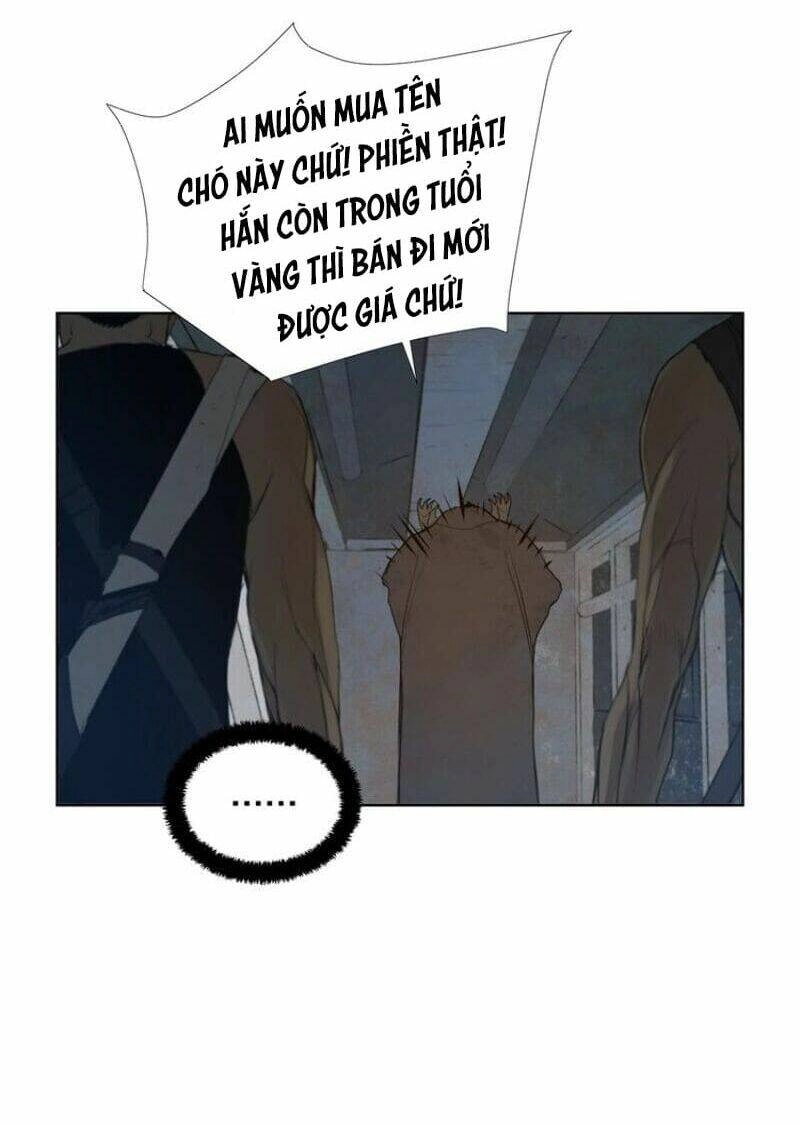 Vinh Quang Kiếm Chapter 45 - 28