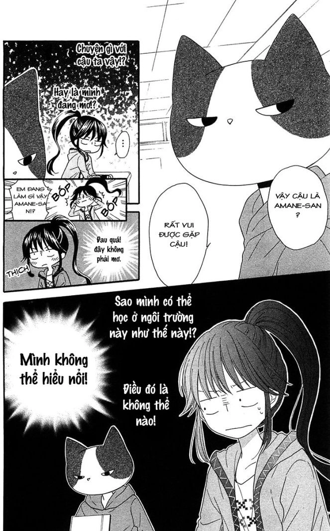 Nekota No Koto Ga Ki Ni Natte Shikatanai Chapter 1 - 22