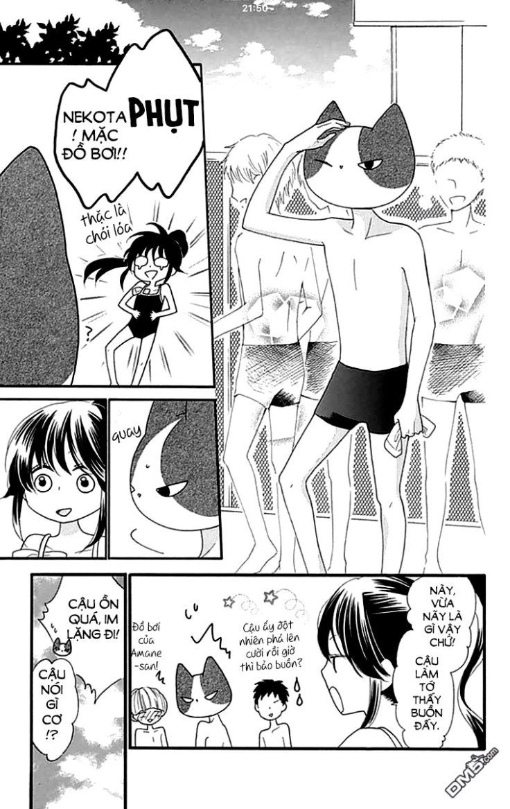 Nekota No Koto Ga Ki Ni Natte Shikatanai Chapter 8 - 15