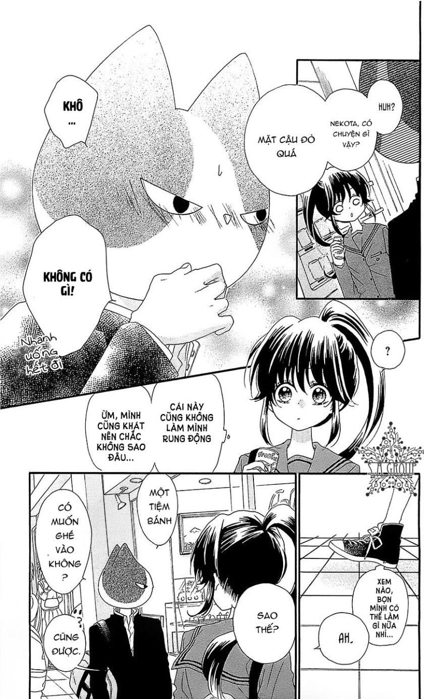 Nekota No Koto Ga Ki Ni Natte Shikatanai Chapter 29 - 33