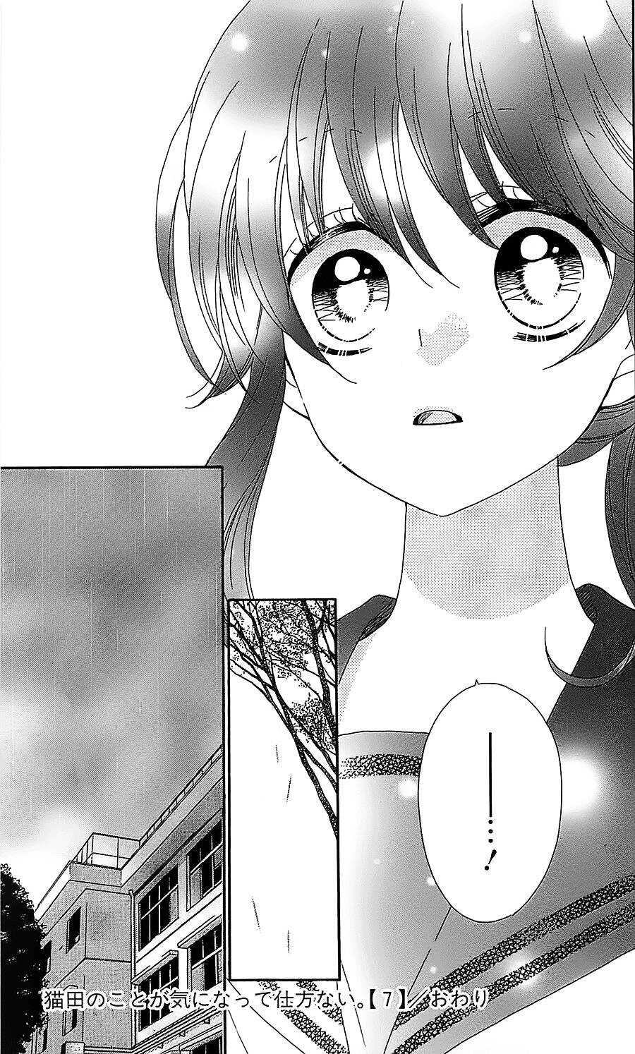 Nekota No Koto Ga Ki Ni Natte Shikatanai Chapter 33 - 32