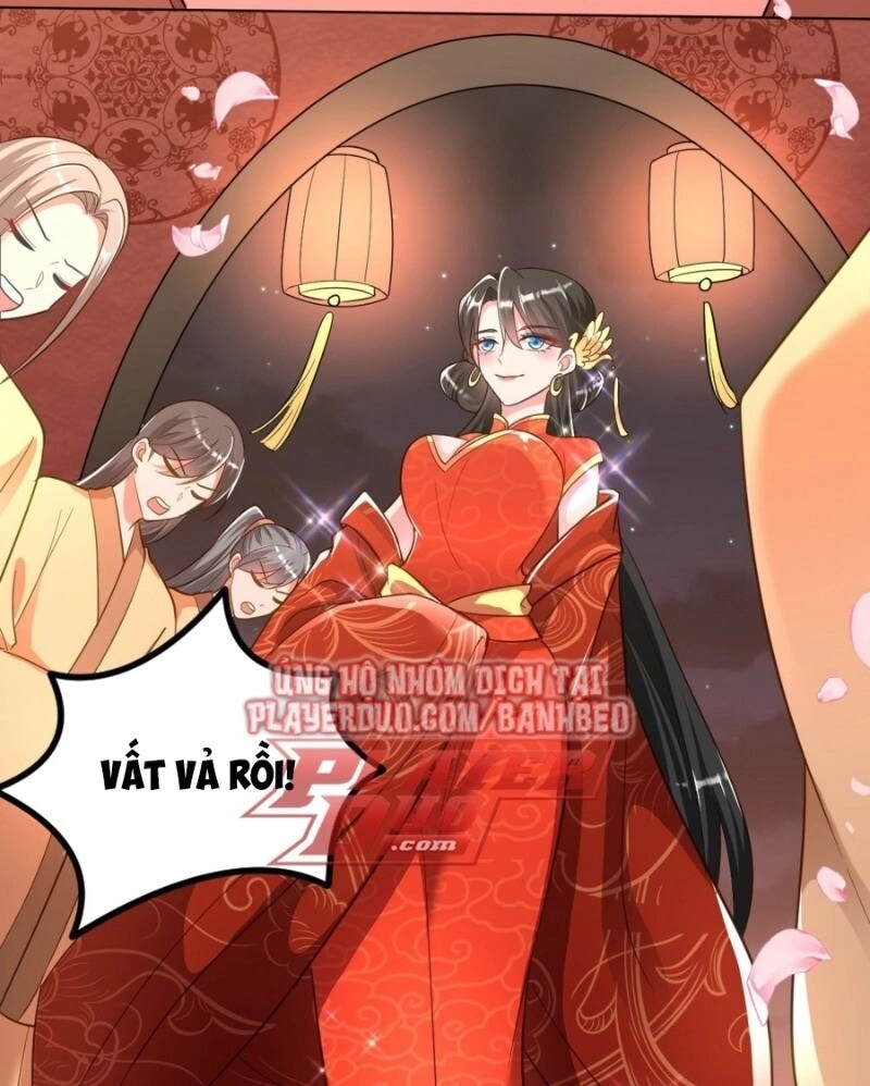 Giang Sơn Mỹ Nam Nhập Trướng Ta Chapter 5 - 12