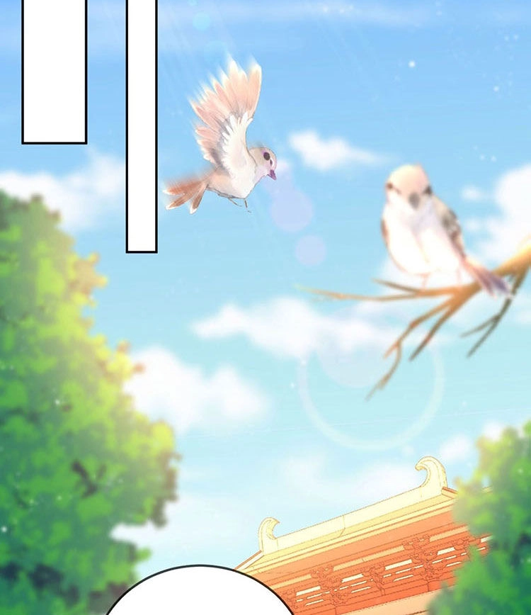 Giang Sơn Mỹ Nam Nhập Trướng Ta Chapter 29 - 16