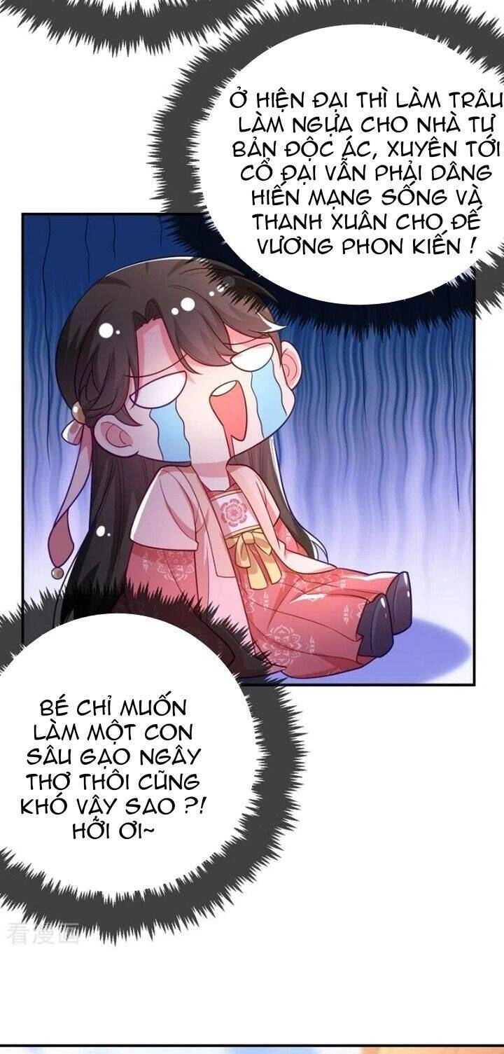 Giang Sơn Mỹ Nam Nhập Trướng Ta Chapter 43 - 5