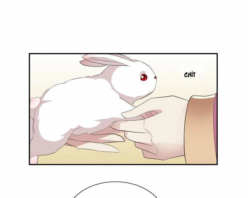 Toàn Cơ Từ Chapter 61.1 - 17