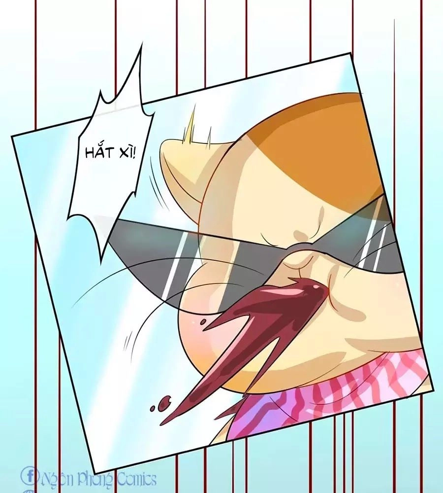 Hệ Thống Công Lược Của Tiểu Công Chúa Chapter 4 - 13