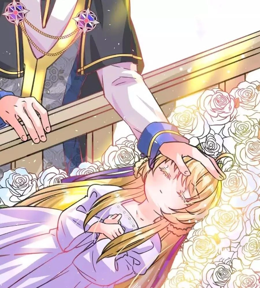 Hệ Thống Công Lược Của Tiểu Công Chúa Chapter 14 - 27