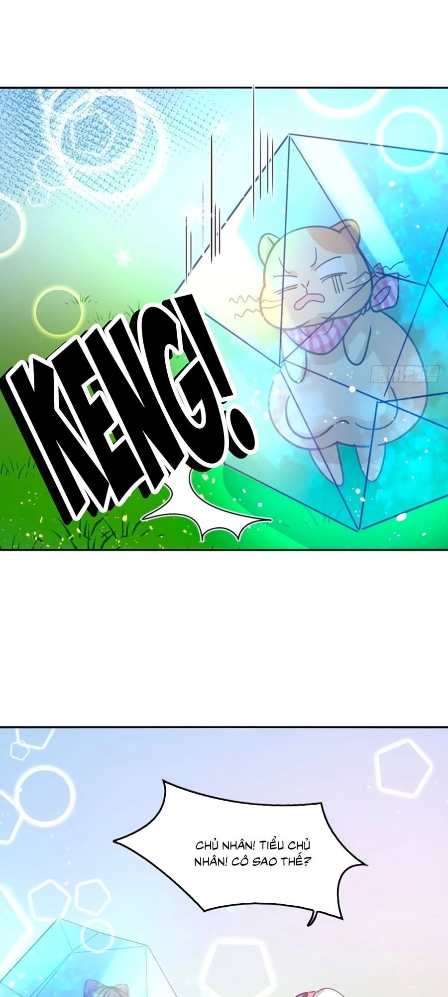 Hệ Thống Công Lược Của Tiểu Công Chúa Chapter 39 - 13