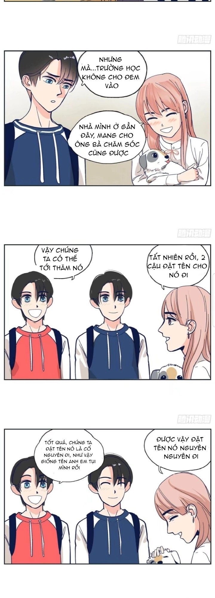 Song Bào Thai Theo Đuổi Nữ Thần Chapter 2 - 17