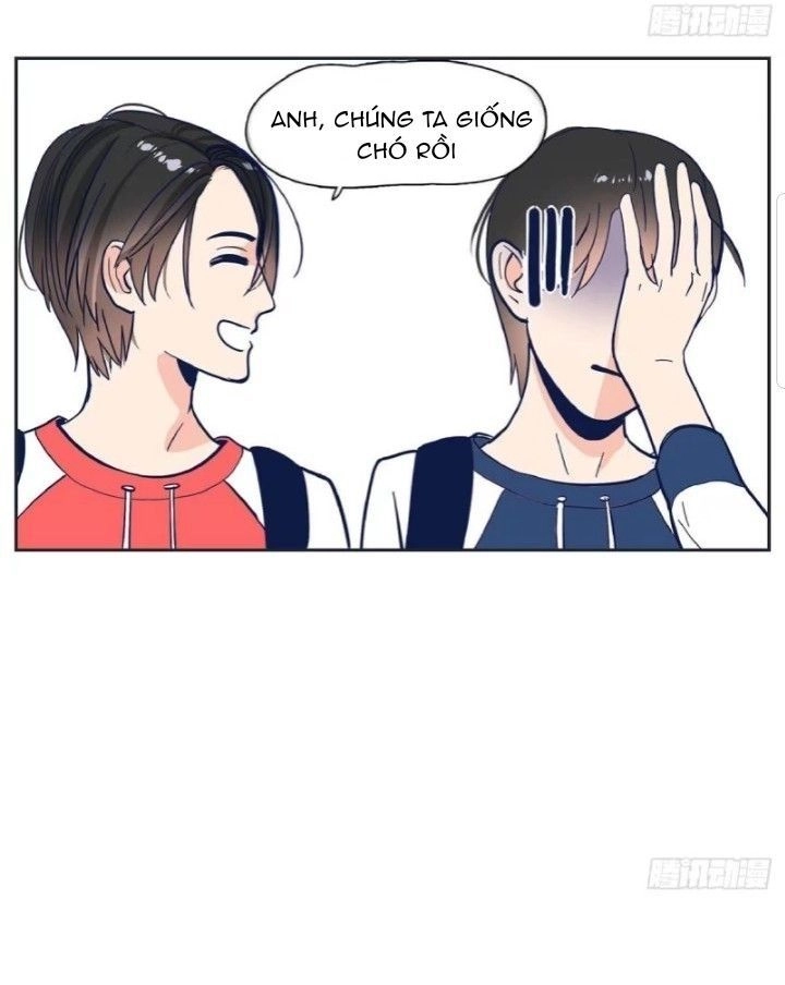 Song Bào Thai Theo Đuổi Nữ Thần Chapter 2 - 18