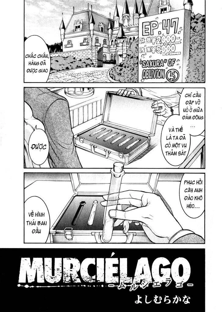 Murcielago Chapter 47 - 3