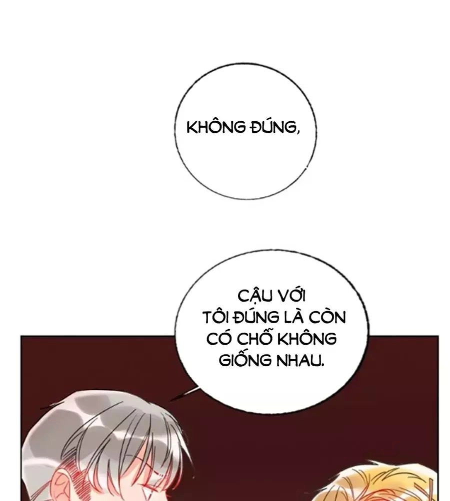 Kế Hoạch Đánh Chiếm Của Công Chúa Nghèo Chapter 27 - 62