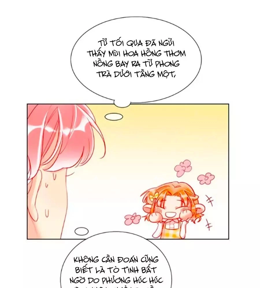 Kế Hoạch Đánh Chiếm Của Công Chúa Nghèo Chapter 29 - 31