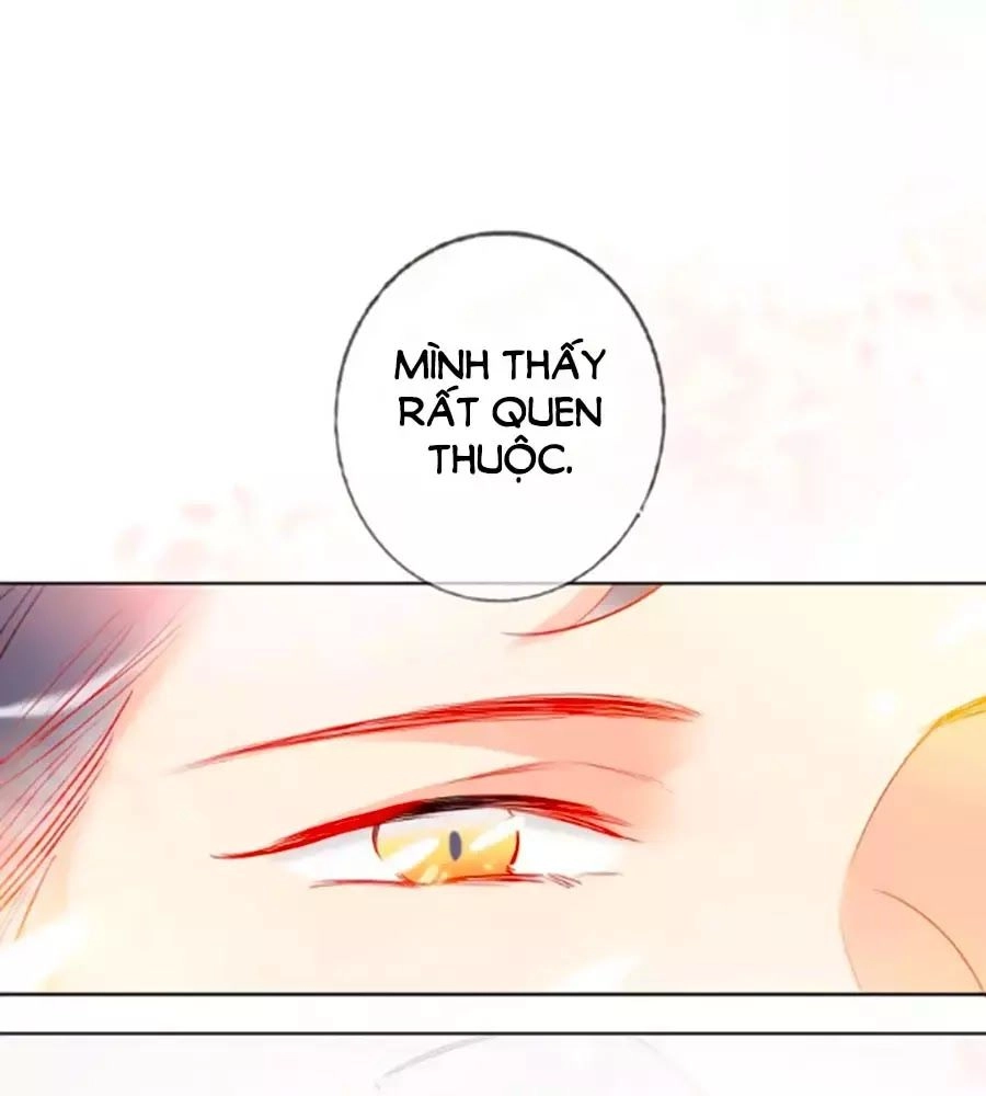Kế Hoạch Đánh Chiếm Của Công Chúa Nghèo Chapter 30 - 29