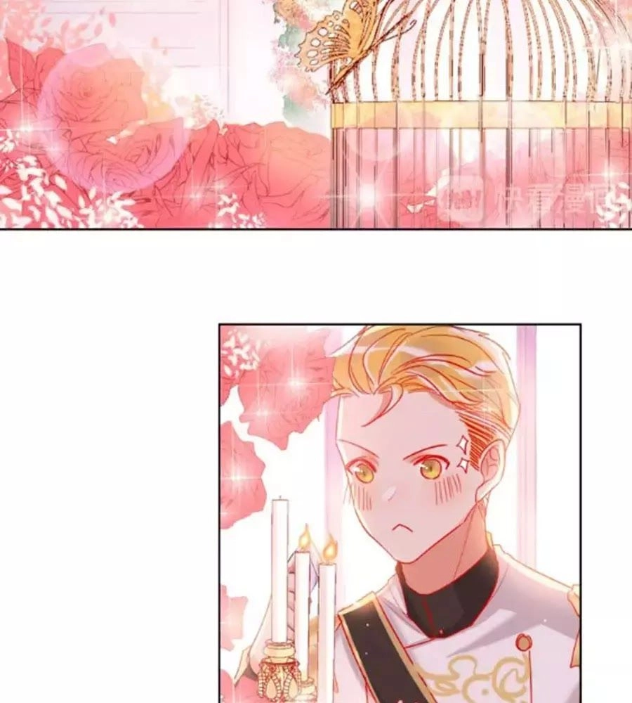 Kế Hoạch Đánh Chiếm Của Công Chúa Nghèo Chapter 30 - 50