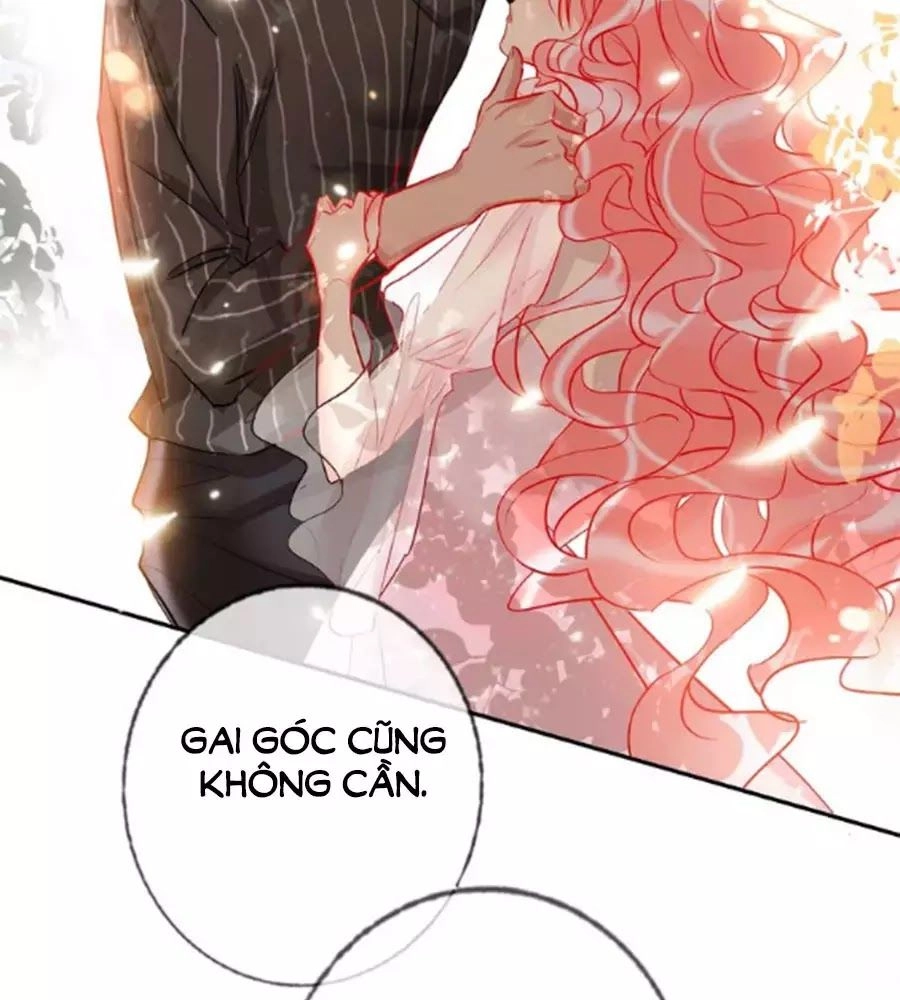 Kế Hoạch Đánh Chiếm Của Công Chúa Nghèo Chapter 34 - 37