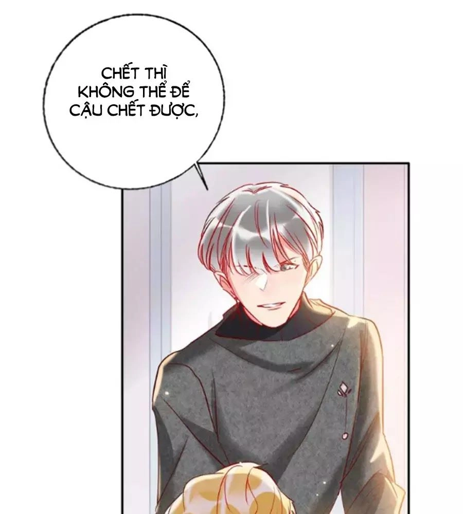 Kế Hoạch Đánh Chiếm Của Công Chúa Nghèo Chapter 34 - 73