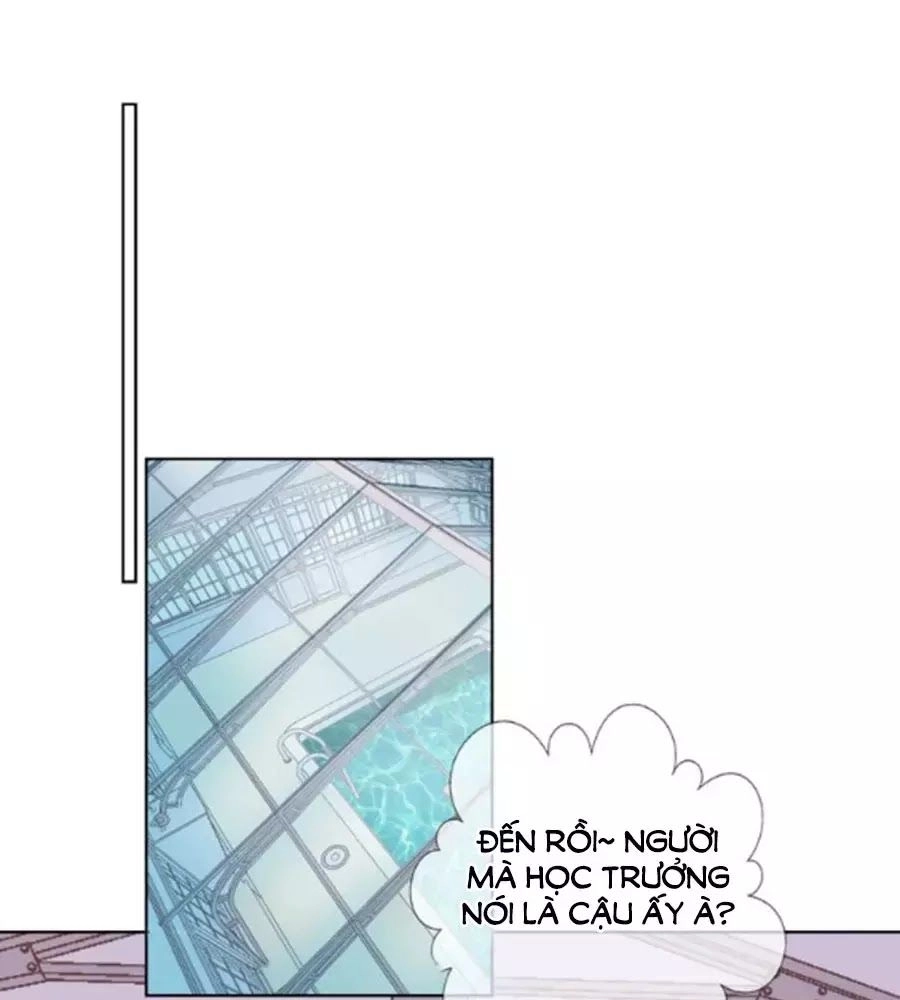 Kế Hoạch Đánh Chiếm Của Công Chúa Nghèo Chapter 38 - 28