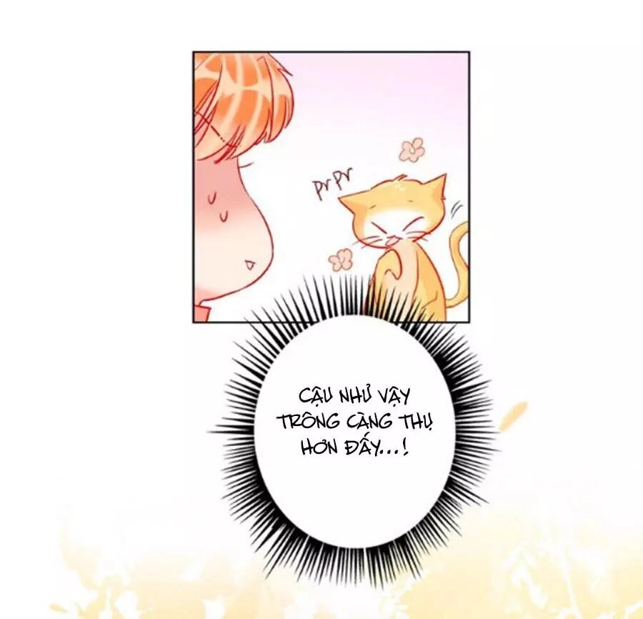 Kế Hoạch Đánh Chiếm Của Công Chúa Nghèo Chapter 43 - 52
