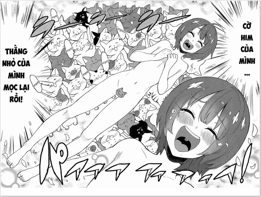 Trai Hóa Gái Đi Troll Chapter 78 - 13