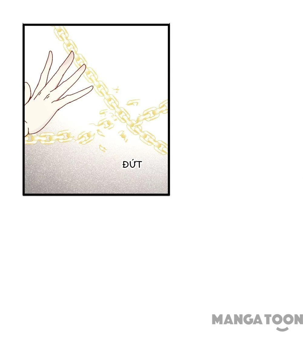 Mejaz - Nhân Gian Ngọc Chapter 142 - 24