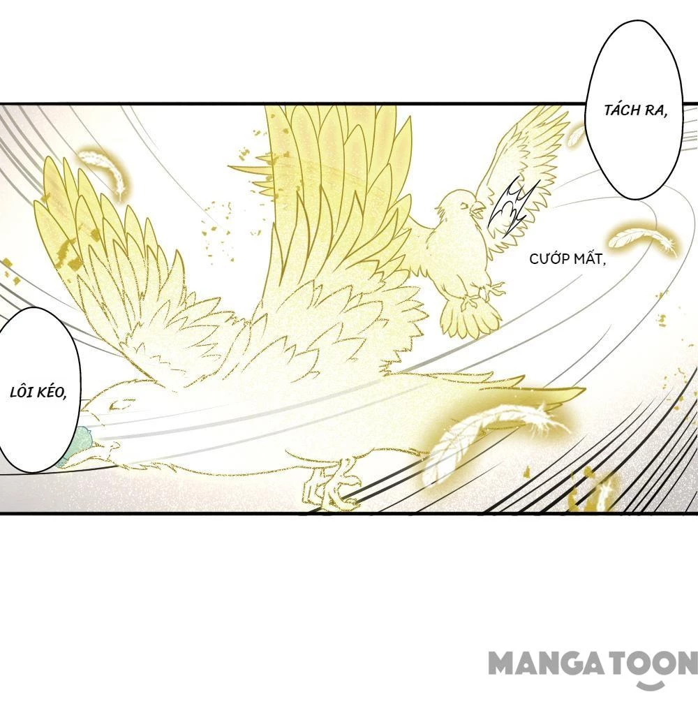 Mejaz - Nhân Gian Ngọc Chapter 175 - 8