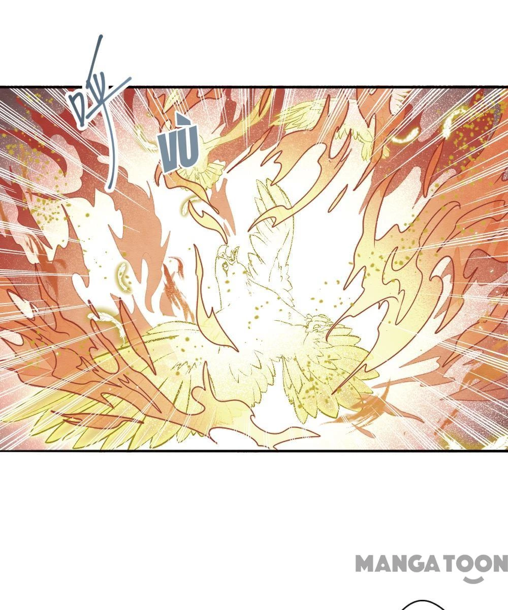 Mejaz - Nhân Gian Ngọc Chapter 175 - 11