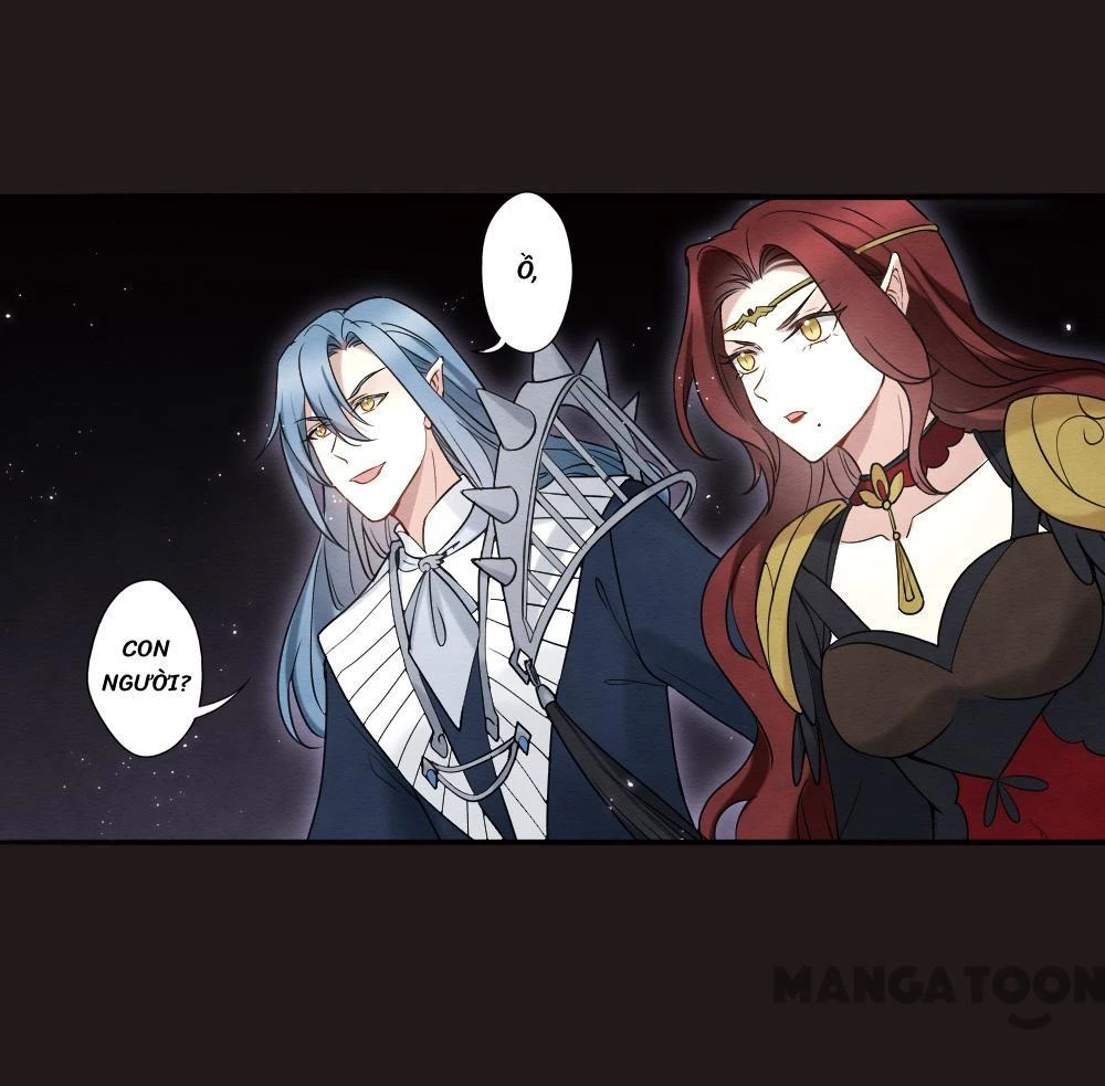 Mejaz - Nhân Gian Ngọc Chapter 182 - 11